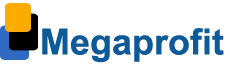 Megaprofit-Λογιστικό-φοροτεχνικό-γραφείο-Σύμβουλοι-Επιχειρήσεων