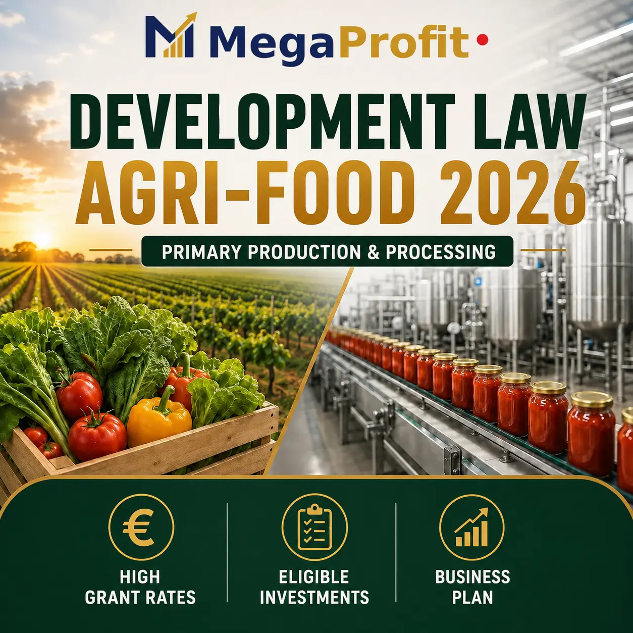 Primary Production Grant under the Development Law – Agri-Food 2026
